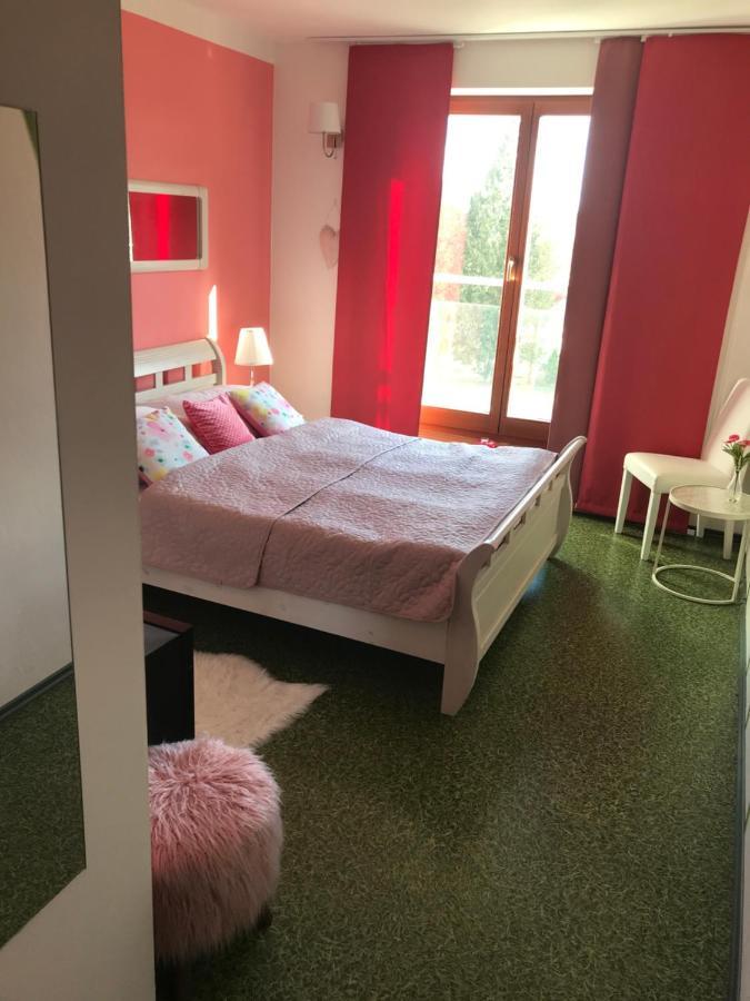 Design Hotel Romantick Trebon Luaran gambar