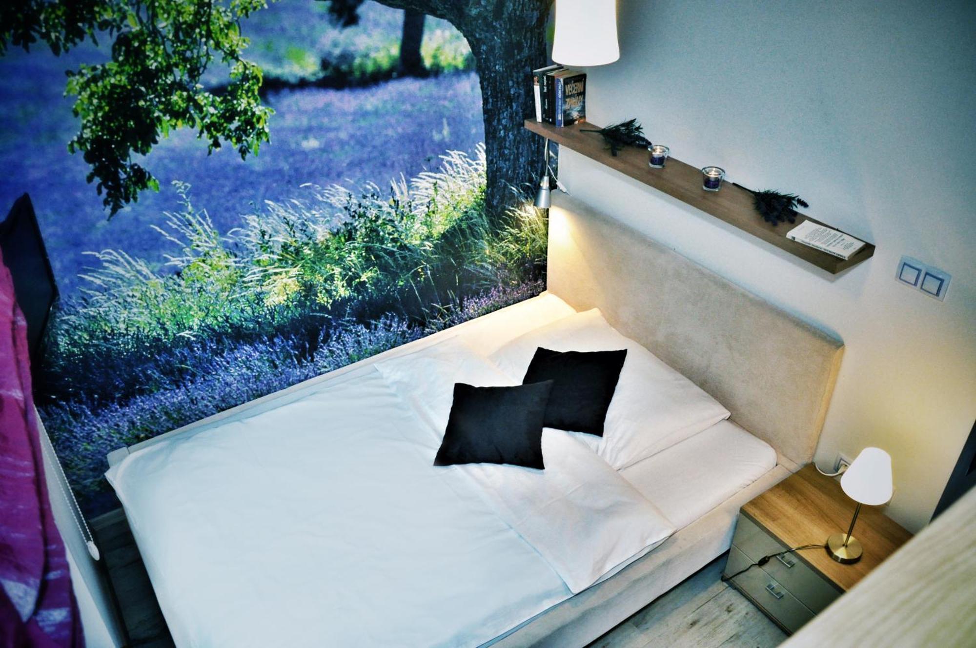 Design Hotel Romantick Trebon Bilik gambar